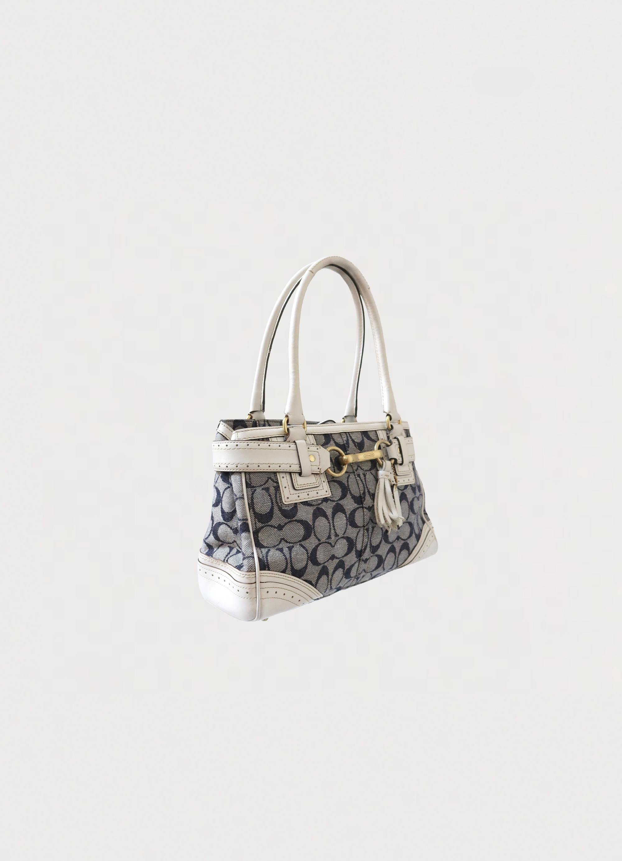 HAMPTONS SIGNATURE CARRYALL SATCHEL BAG
