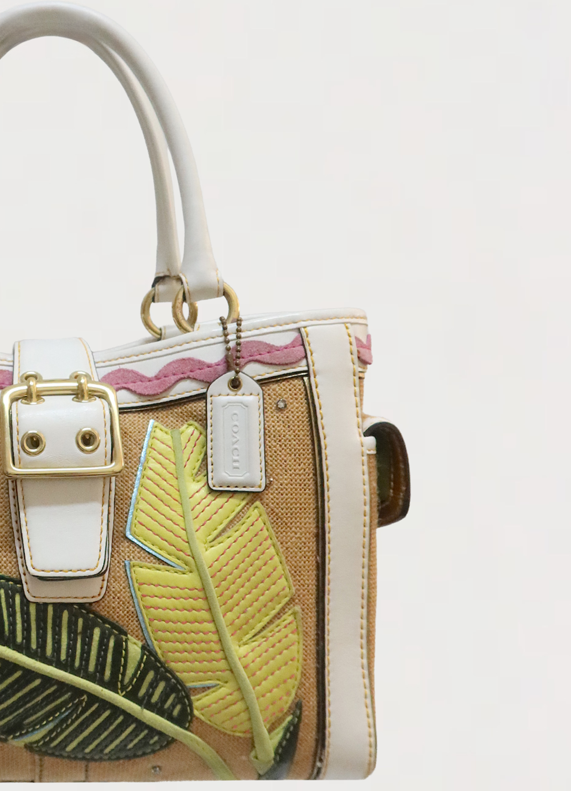 LIMITED EDITION LADYBUG TROPICAL LEAF BOXY STRAW TOTE BAG