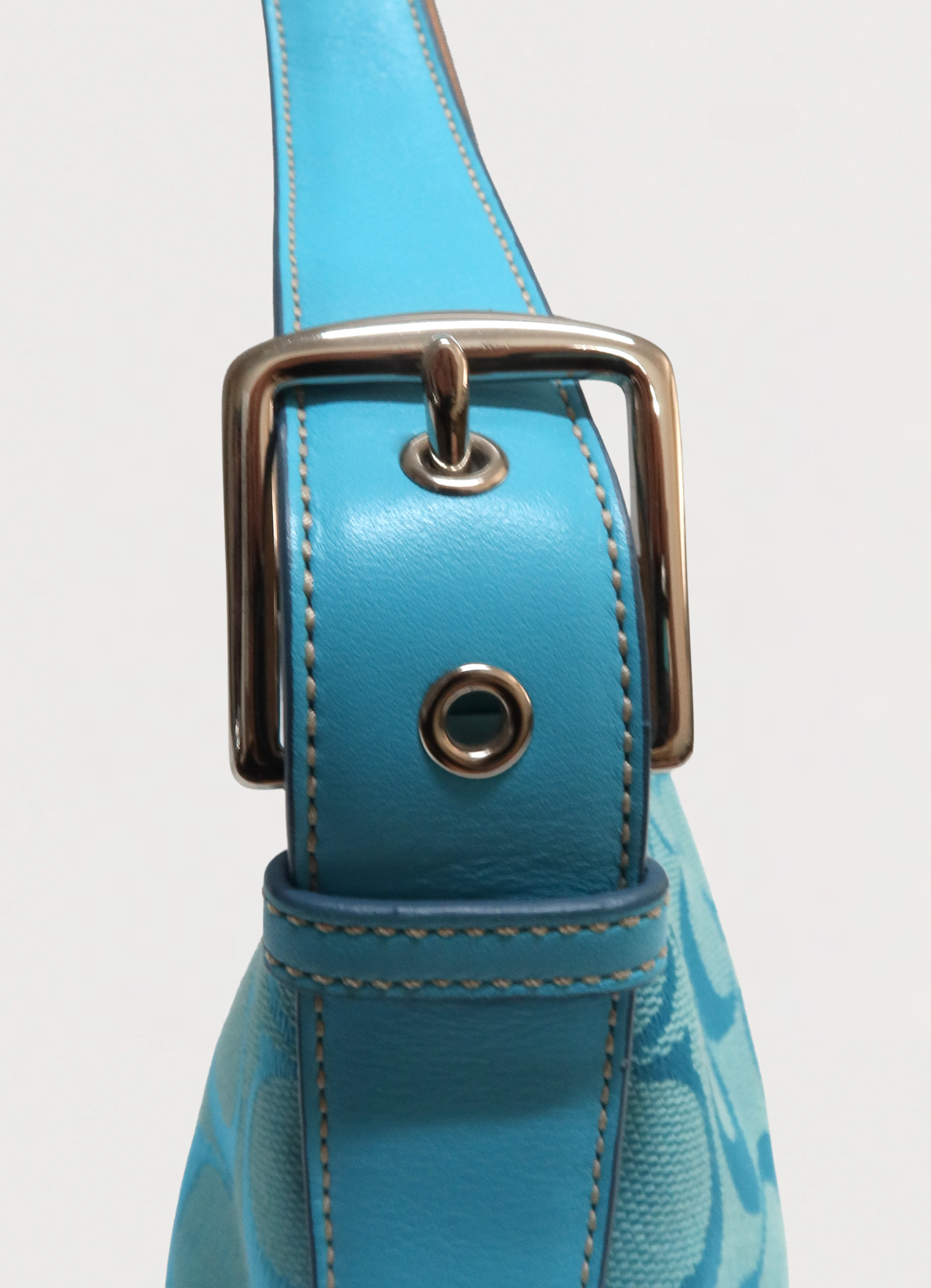 EAST WEST DEMI BAGUETTE BAG