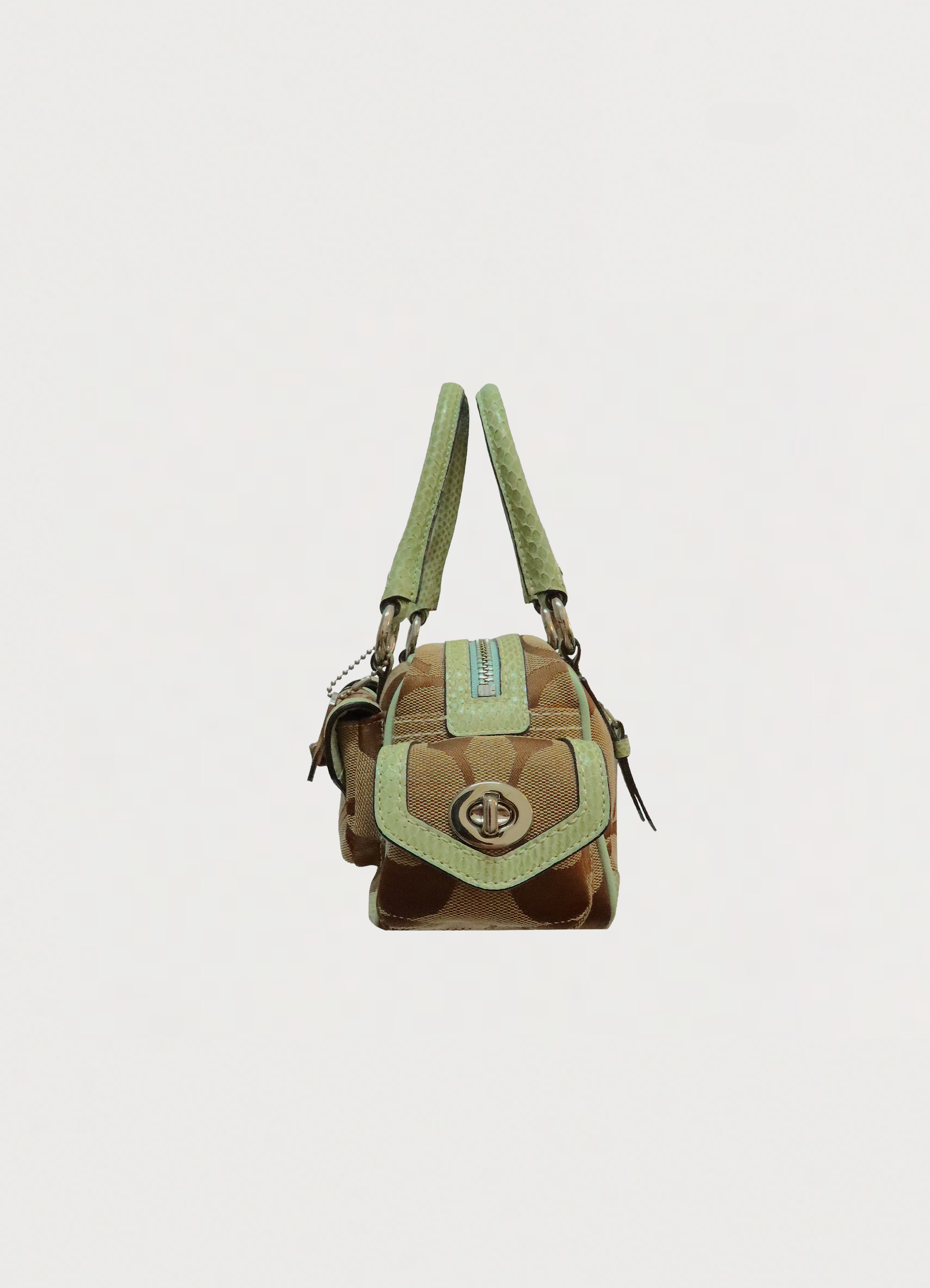 PYTHON SKIN MINI POCKET GALLERY SATCHEL BAG