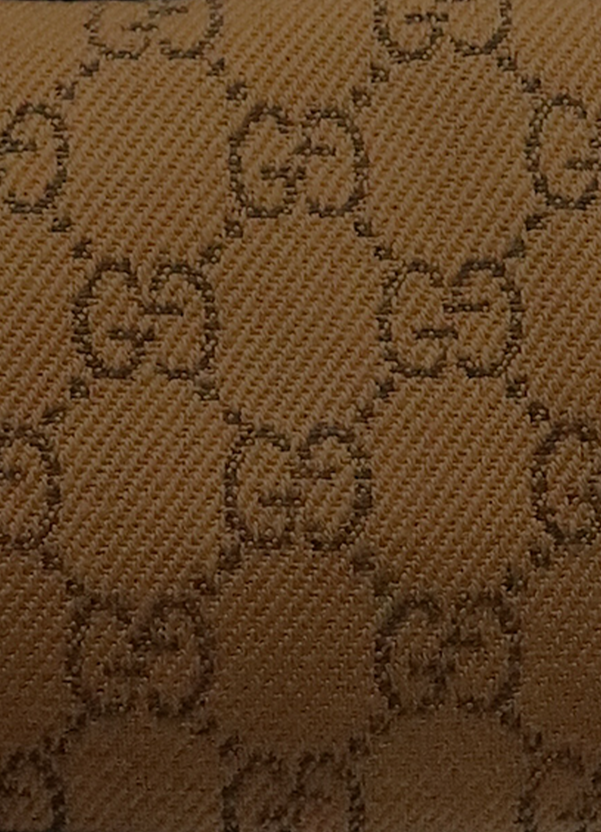 GG MONOGRAM BOAT BAGUETTE BAG