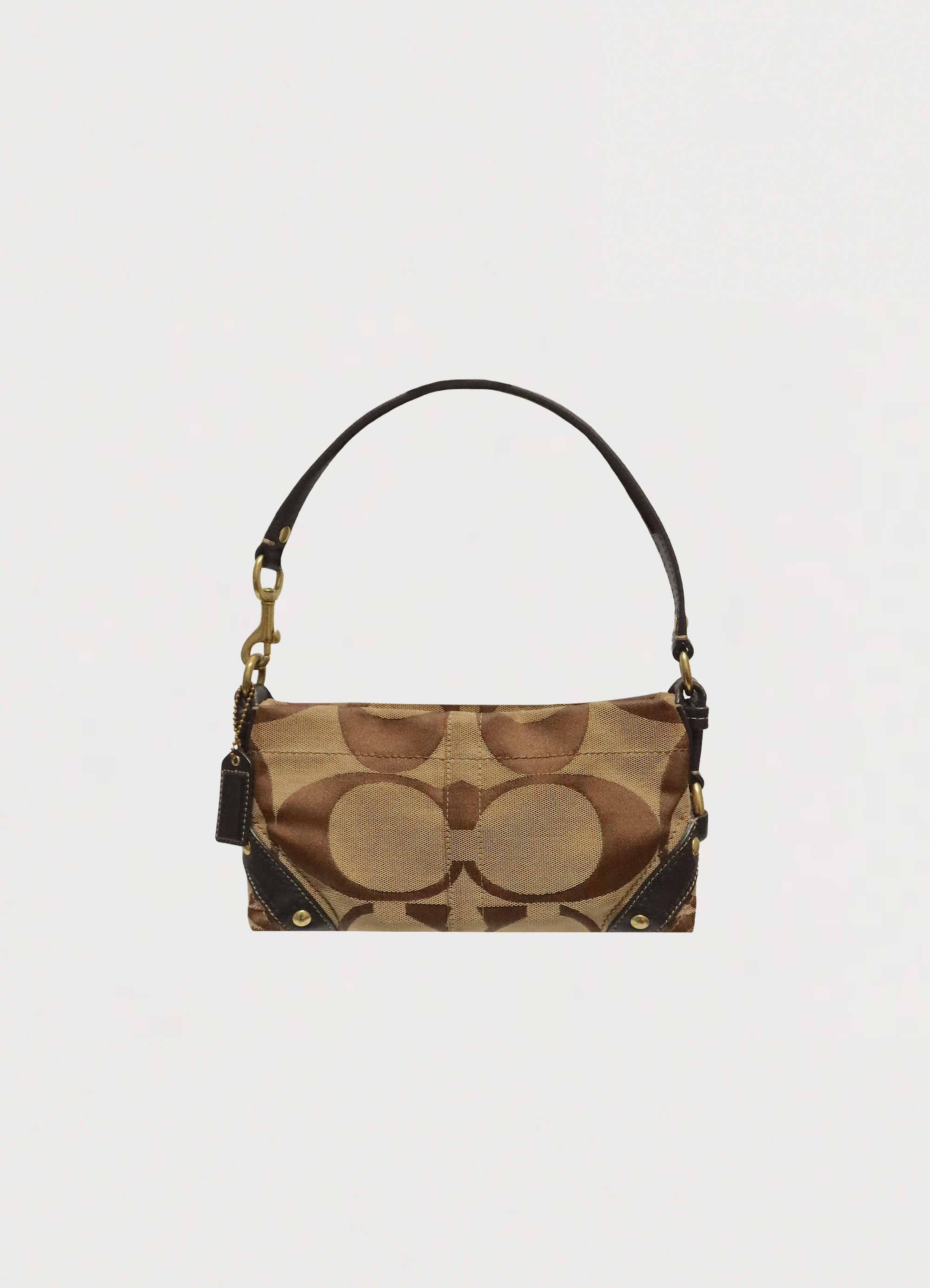 CARLY SIGNATURE BAGUETTE BAG