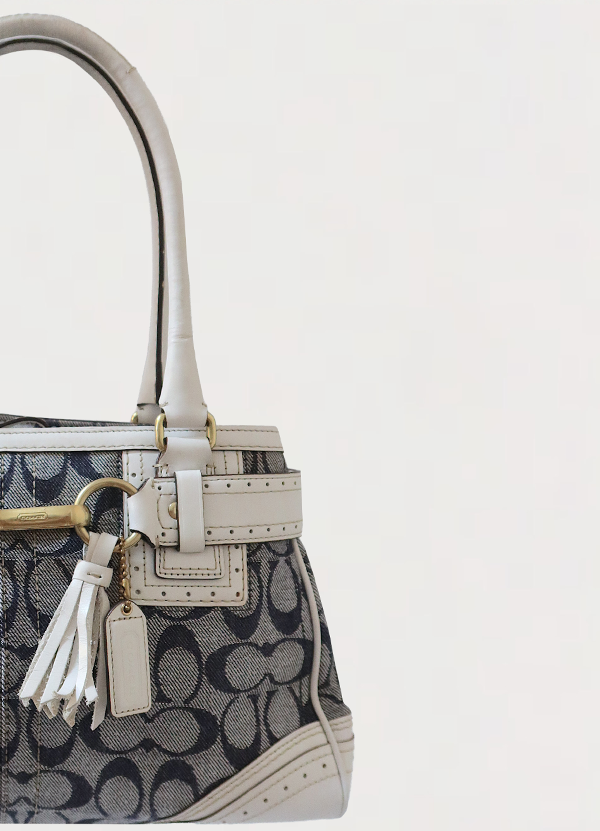 HAMPTONS SIGNATURE CARRYALL SATCHEL BAG
