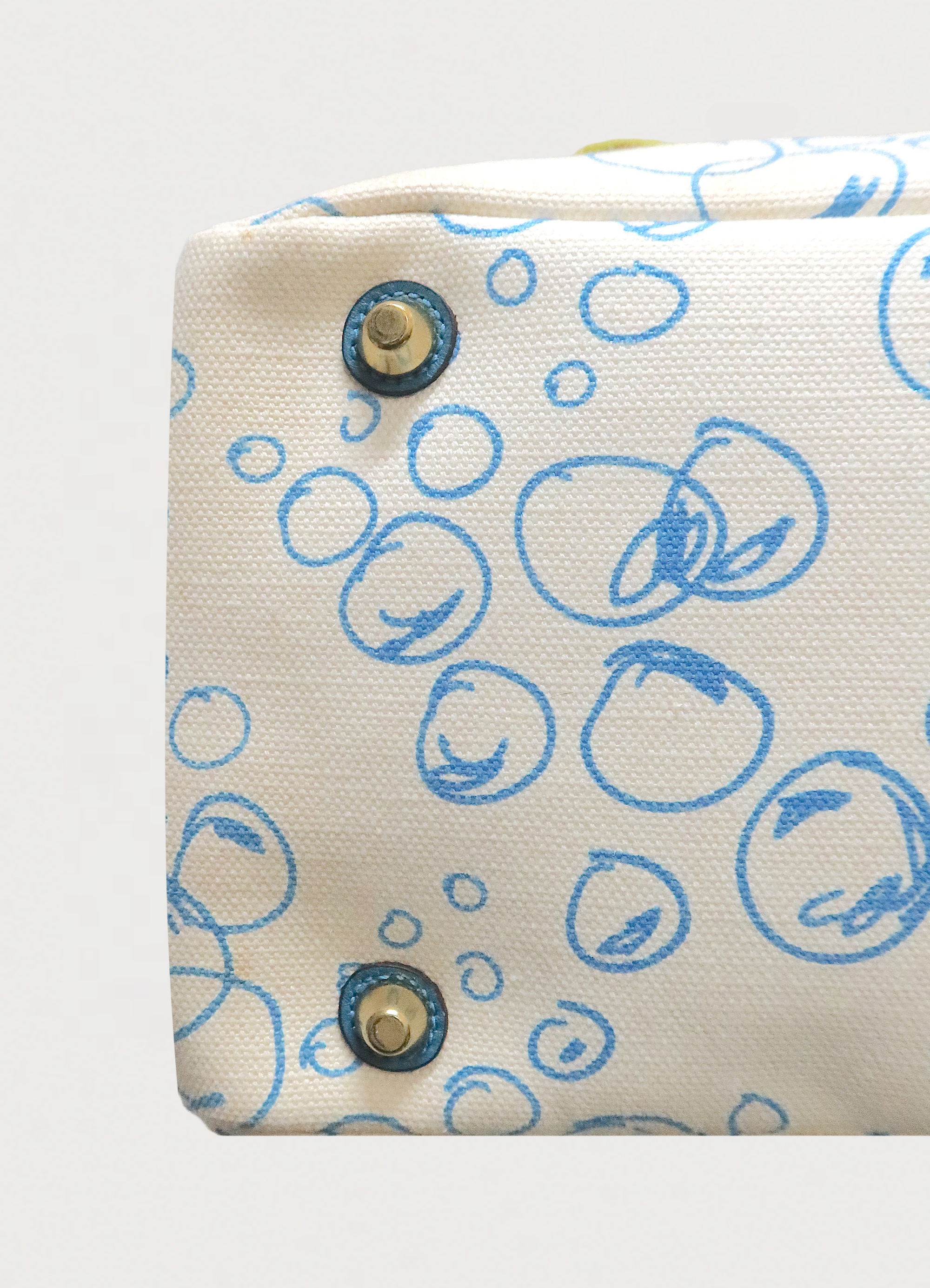 LIMITED EDITION RESORT BUBBLE FISH CORAL TOTE BAG