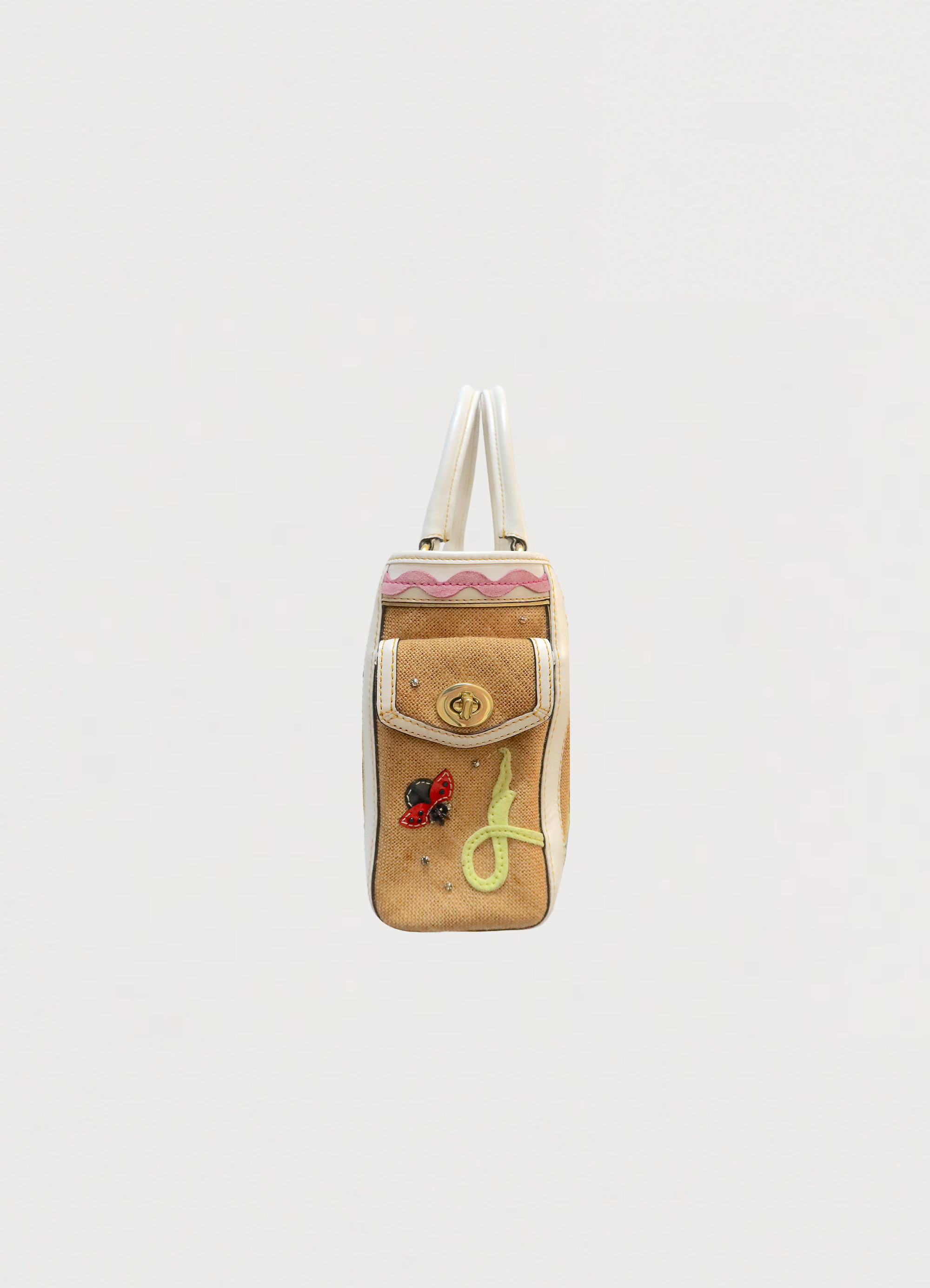 LIMITED EDITION LADYBUG TROPICAL LEAF BOXY STRAW TOTE BAG