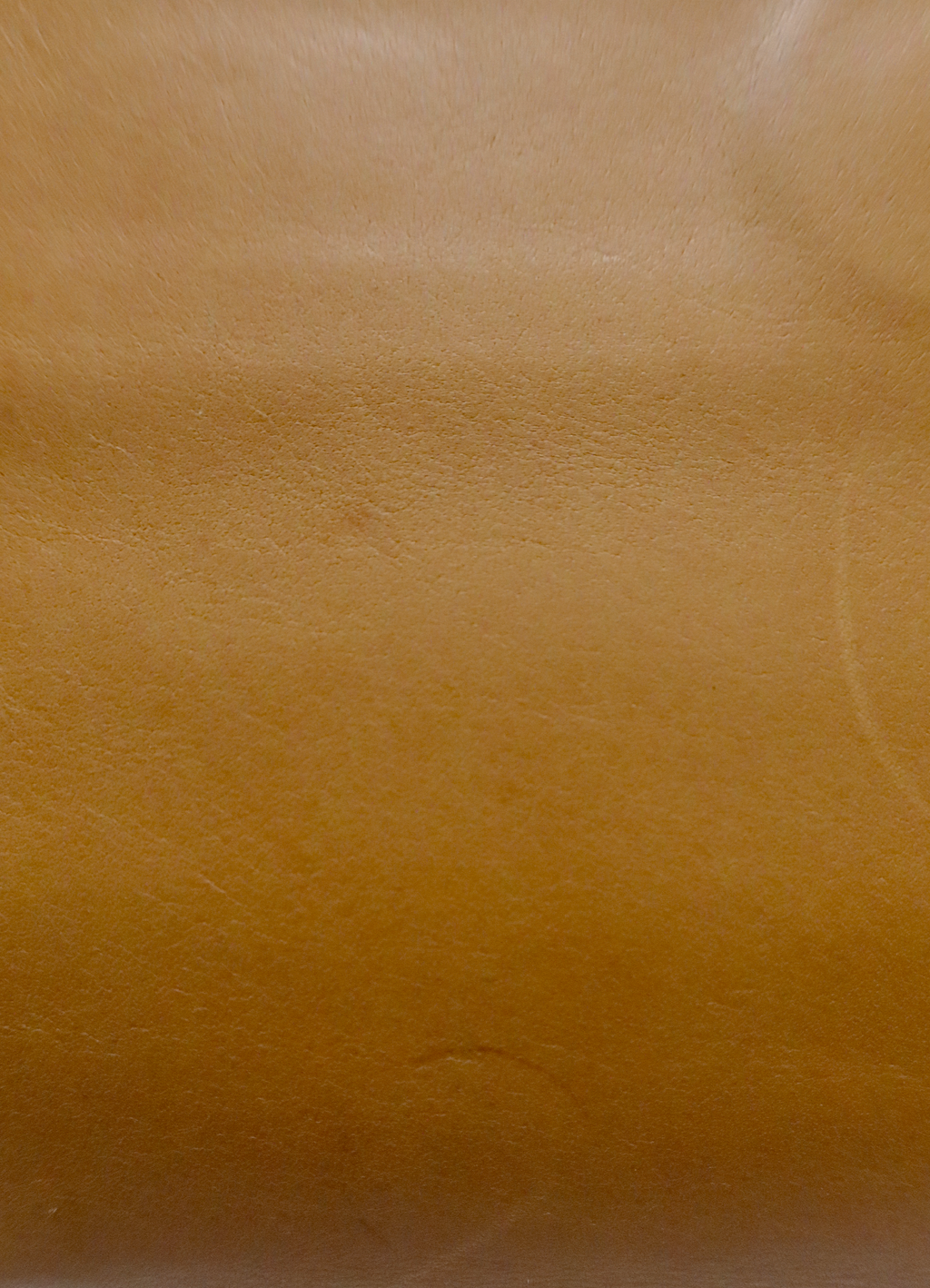 LOGO PLAQUE SHOULDER BAG