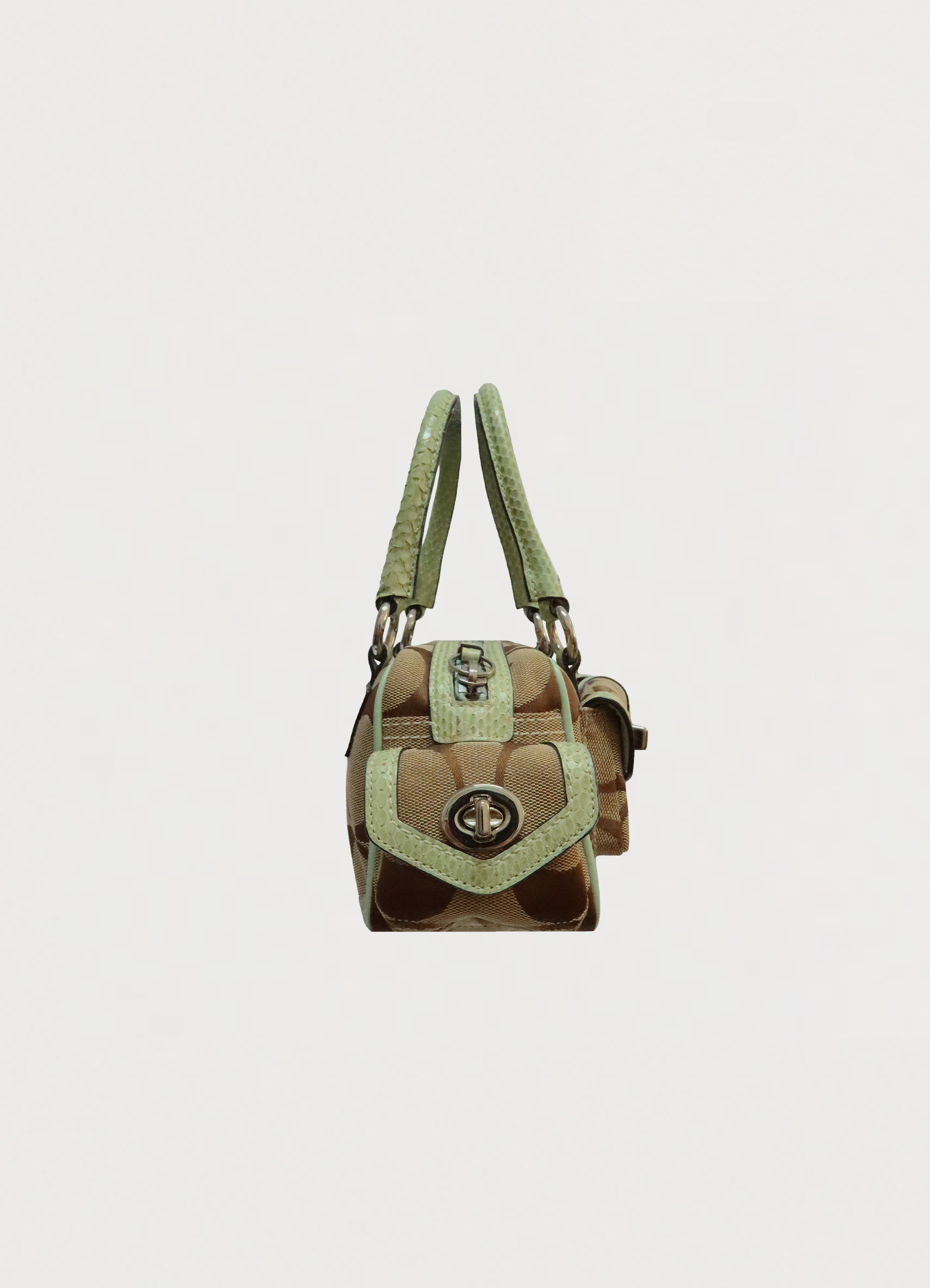 PYTHON SKIN MINI POCKET GALLERY SATCHEL BAG