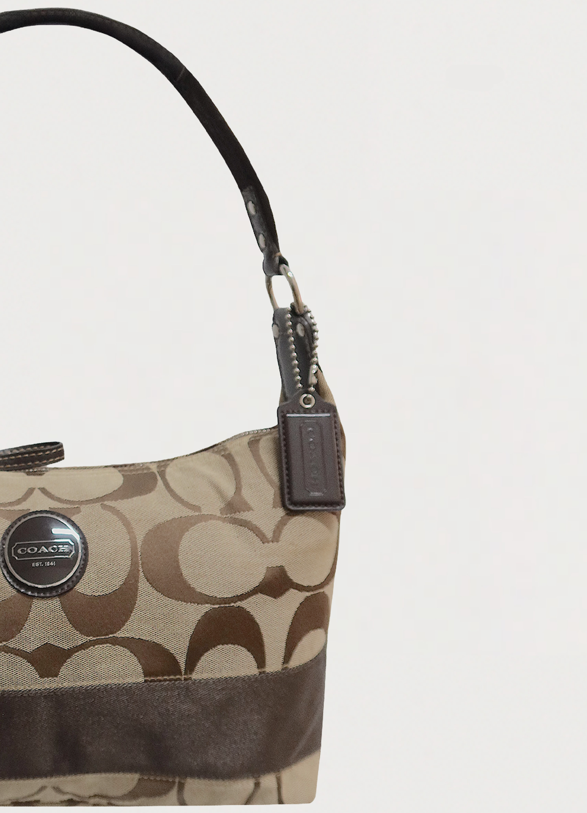 SIGNATURE STRIPE HOBO SHOULDER BAG