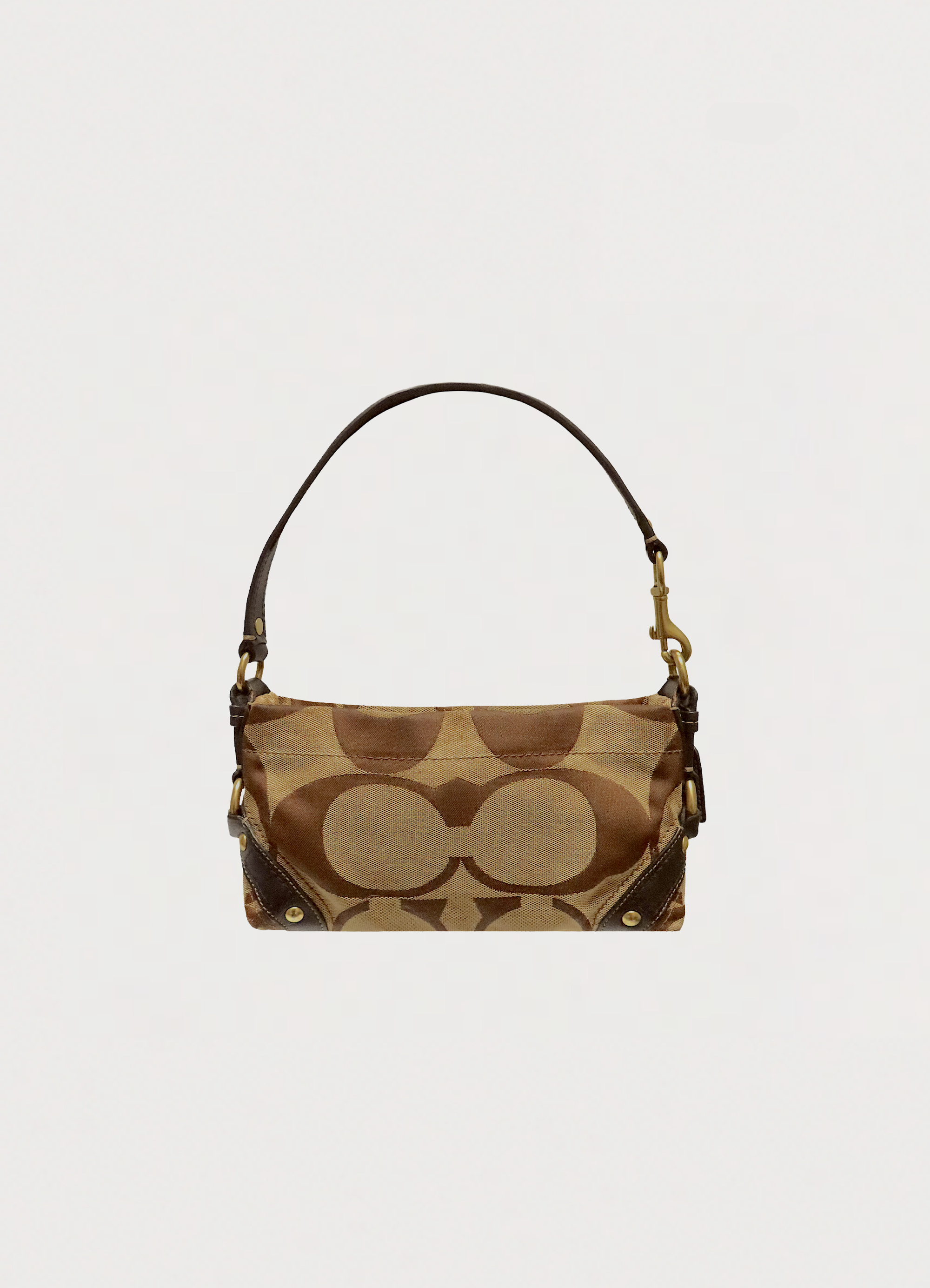 CARLY SIGNATURE BAGUETTE BAG