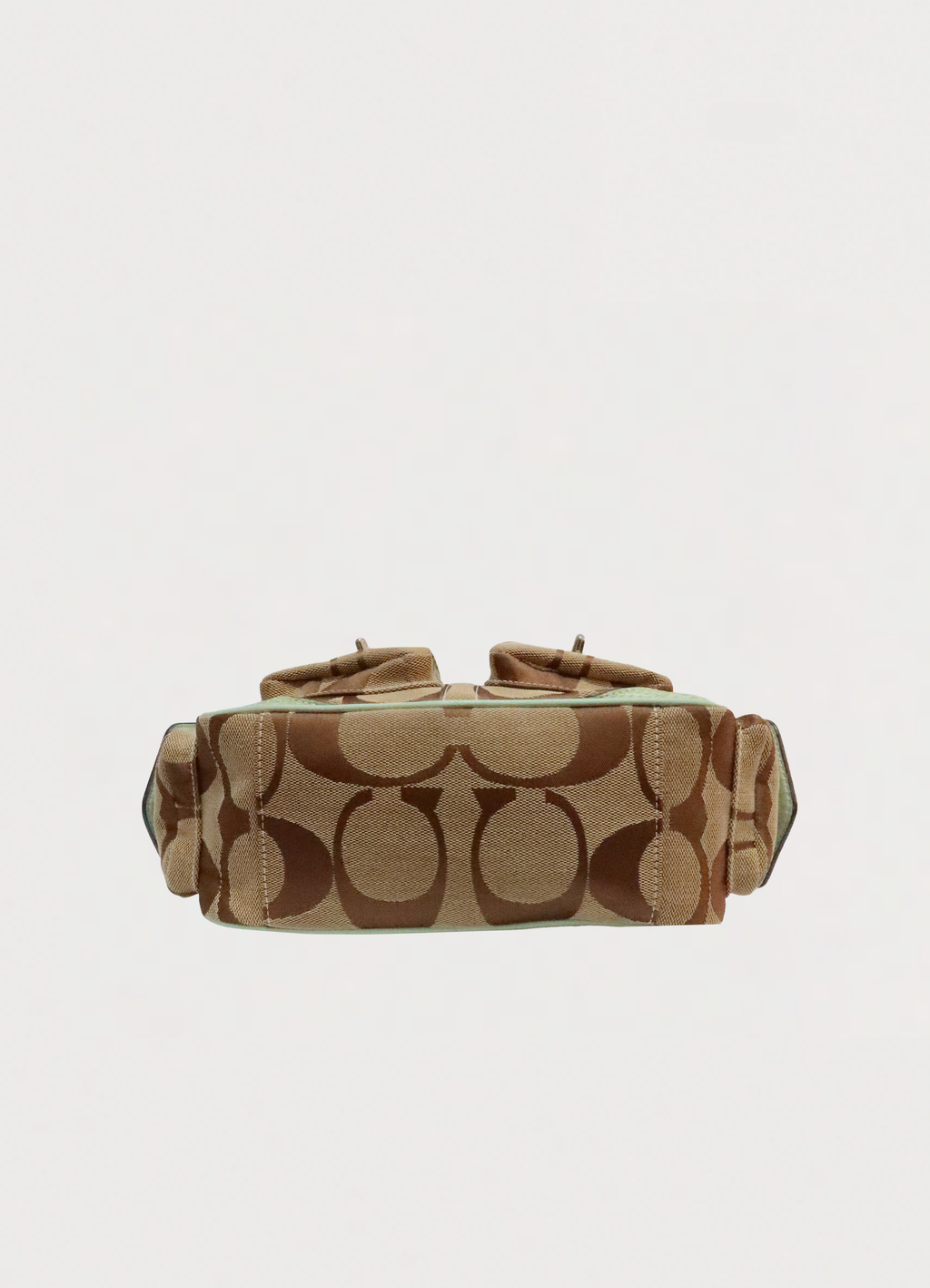 PYTHON SKIN MINI POCKET GALLERY SATCHEL BAG