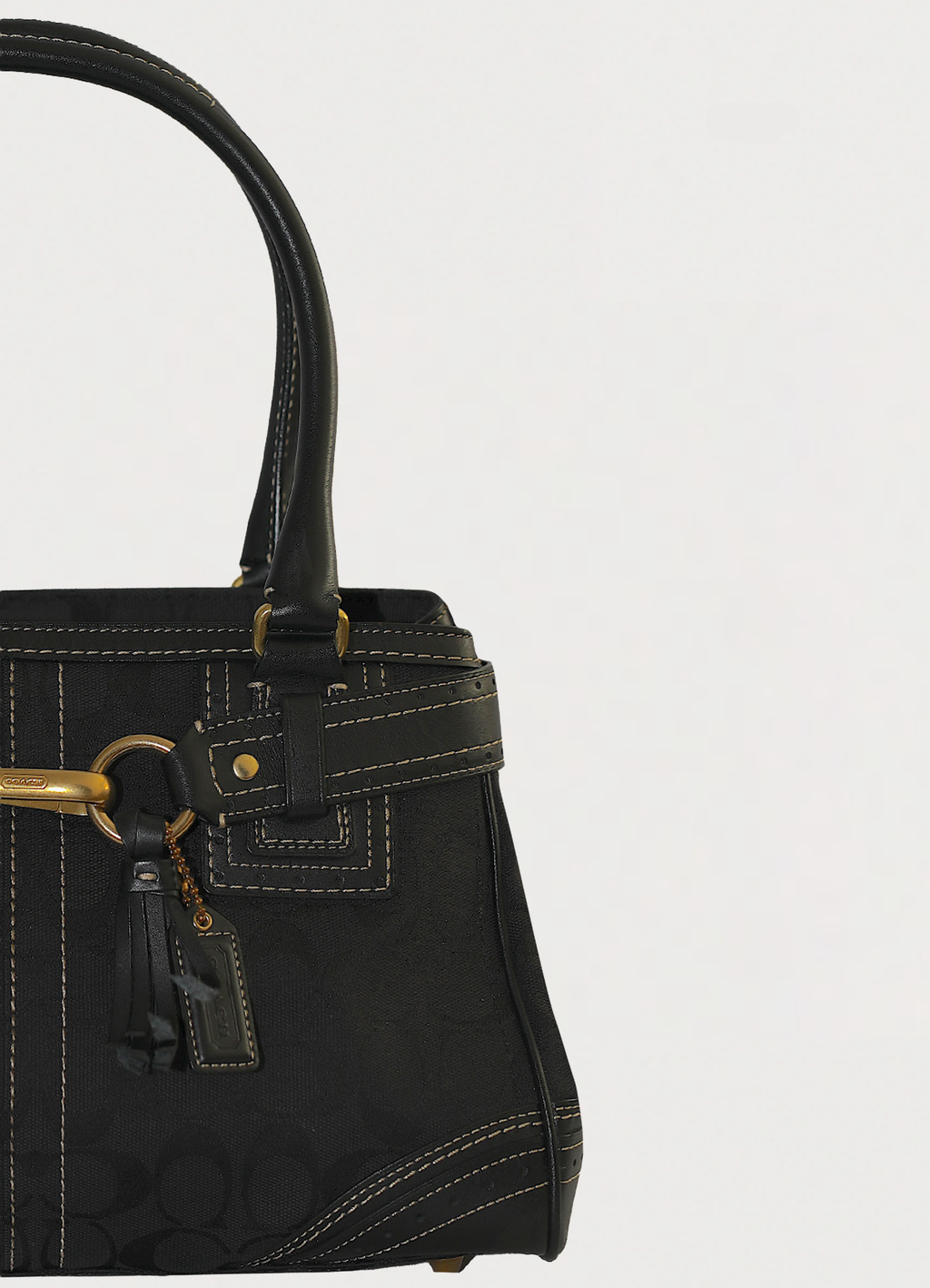 HAMPTONS MONOGRAM CARRYALL SATCHEL BAG
