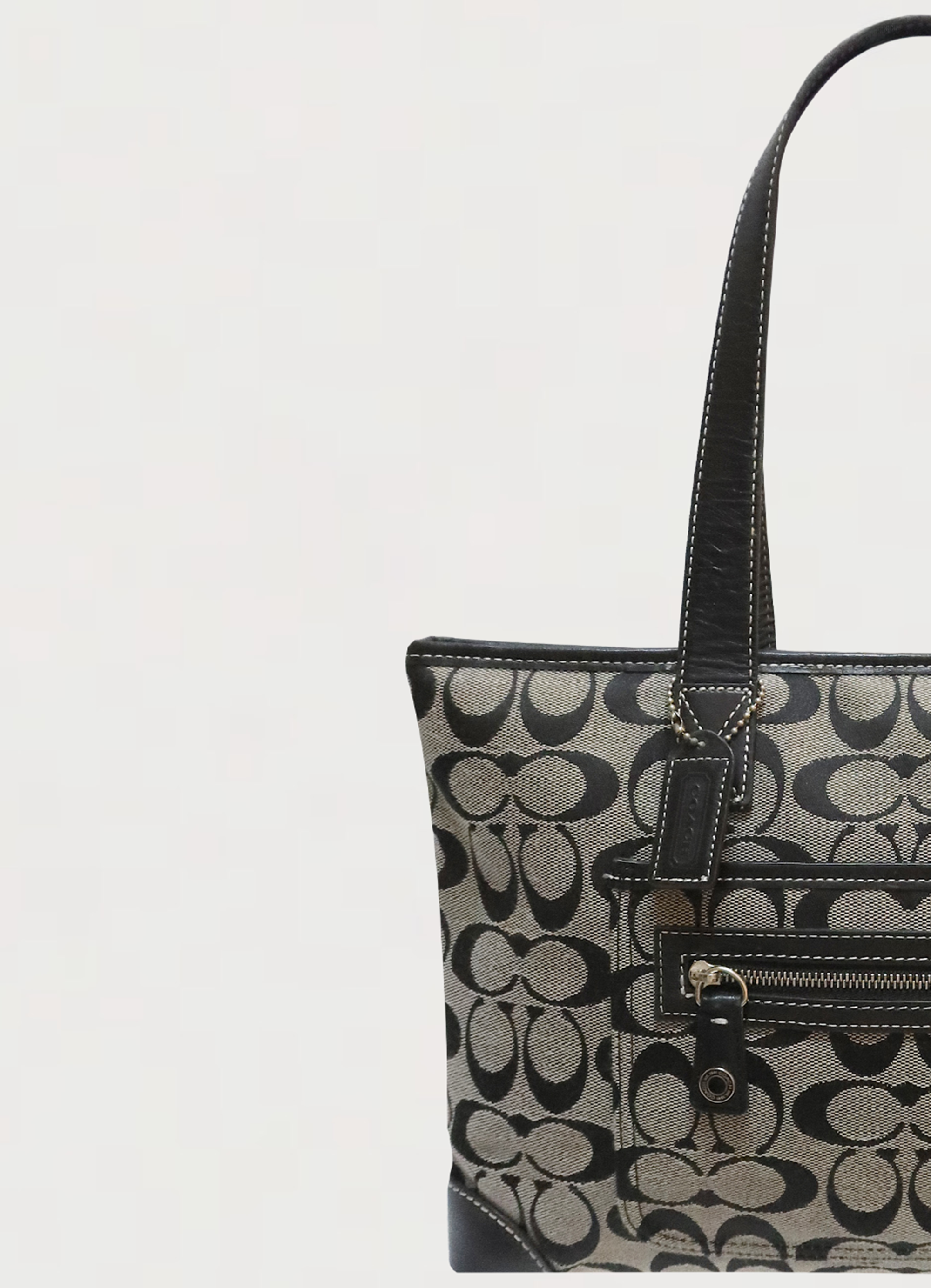 SIGNATURE ZIP TOTE BAG