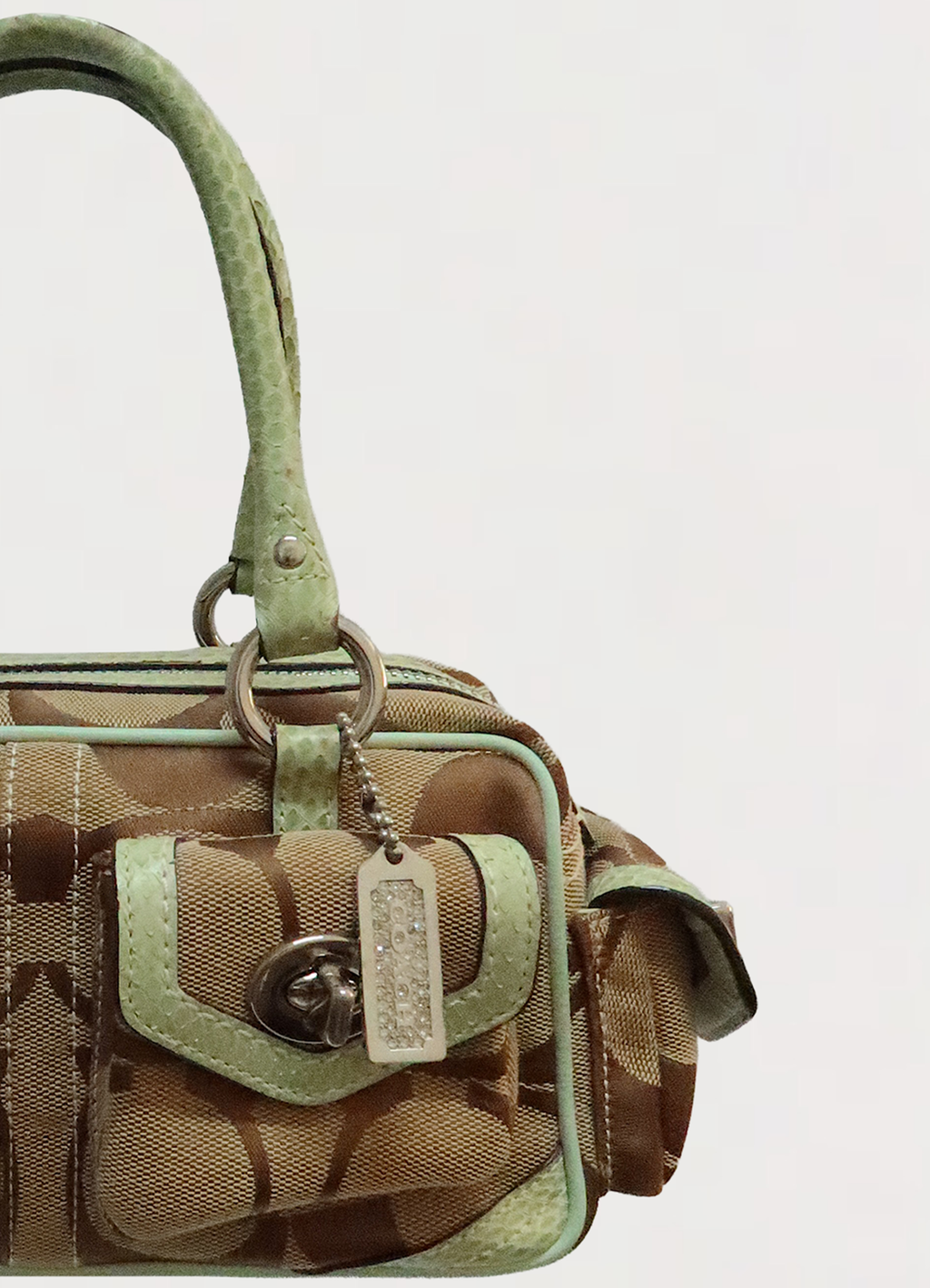 PYTHON SKIN MINI POCKET GALLERY SATCHEL BAG