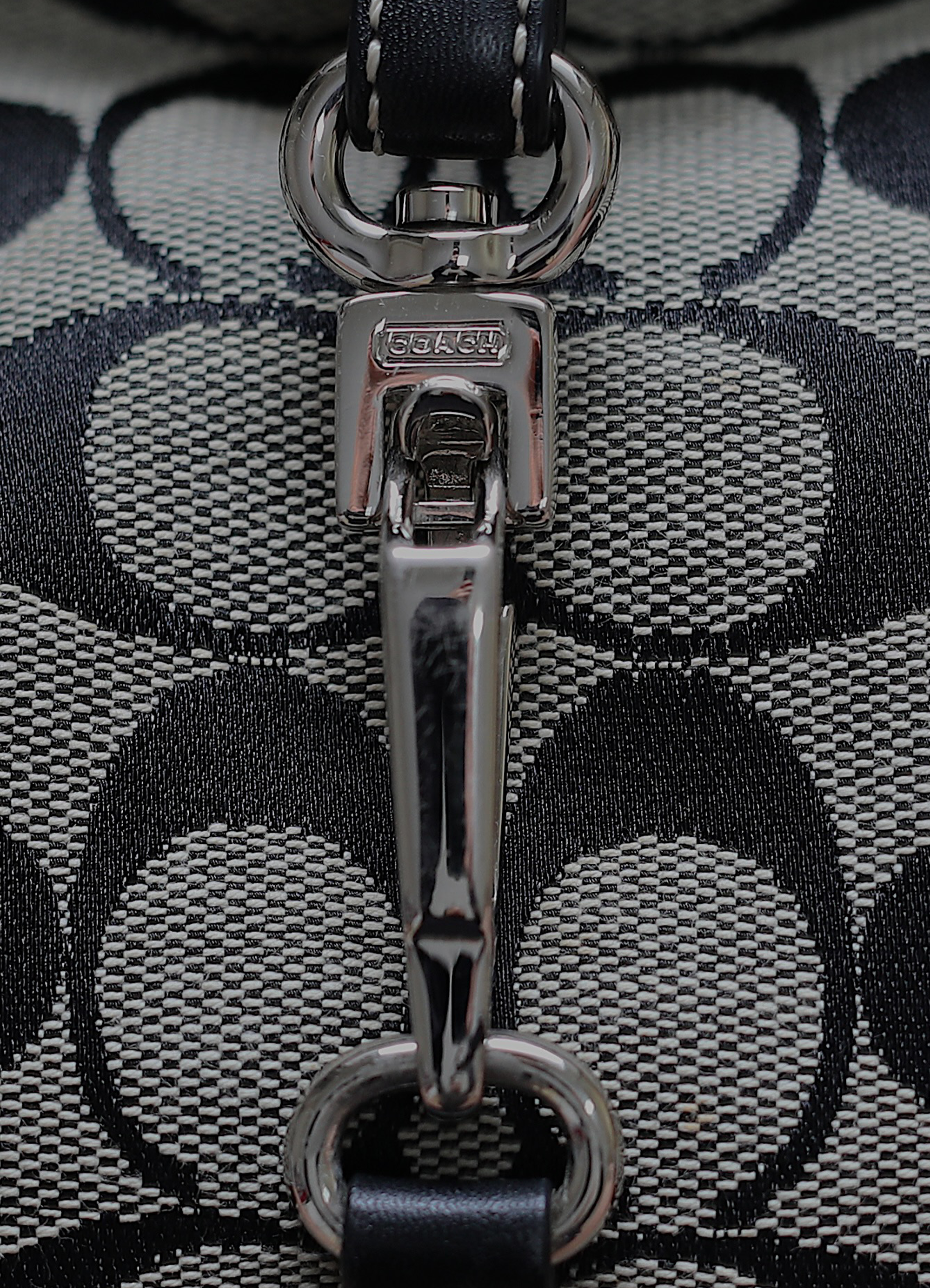 Macro detail of the iconic vertical silver-tone dog-leash clip on the front of the Coach bag